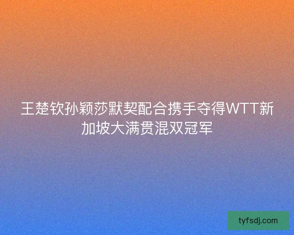 王楚钦孙颖莎默契配合携手夺得WTT新加坡大满贯混双冠军