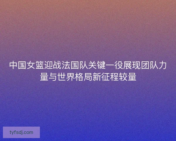 中国女篮迎战法国队关键一役展现团队力量与世界格局新征程较量